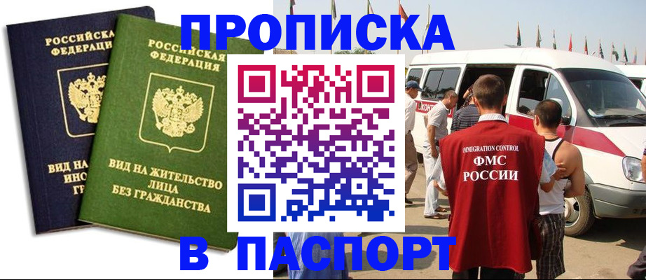 прописка в Александровске